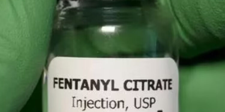 Fenantyl, la droga degli zombie. Il governo presenta un piano di prevenzione