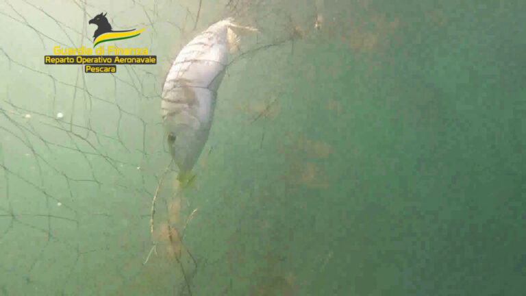 Pescara, individuate e sequestrate reti da pesca abusive
