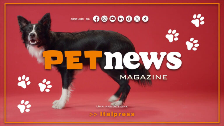 PetNews Magazine – 3/4/2024