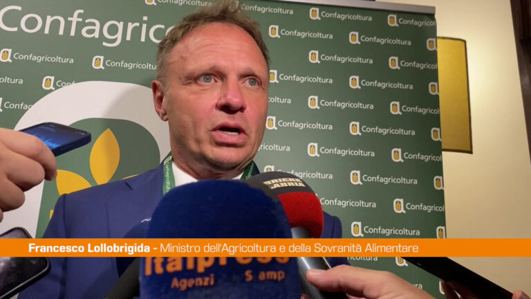 Agricoltura, Lollobrigida “Con sistema fiscale omogeneo più certezze”
