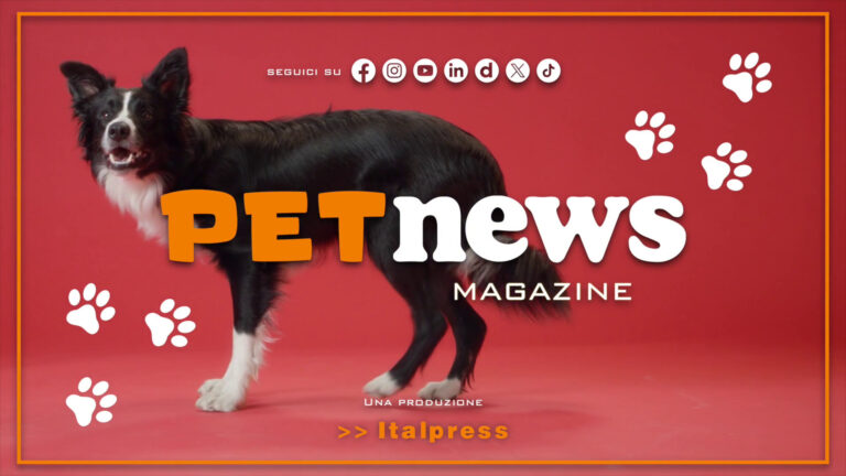 PetNews Magazine – 25/6/2024