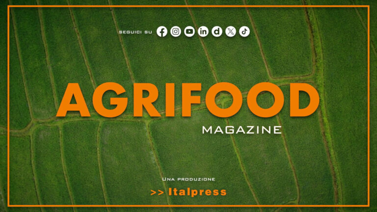 Agrifood Magazine – 24/6/2026
