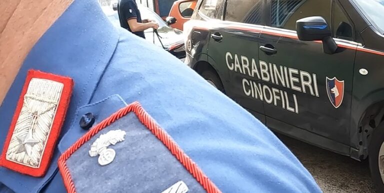 Aversa e agro aversano, controlli straordinari dei Carabinieri: denunce e sequestri
