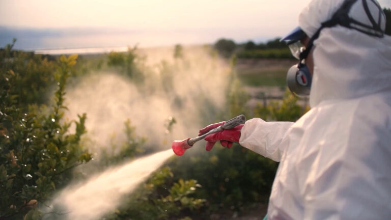 Pesticidi, ricercatori contro la semplificazione delle autorizzazioni